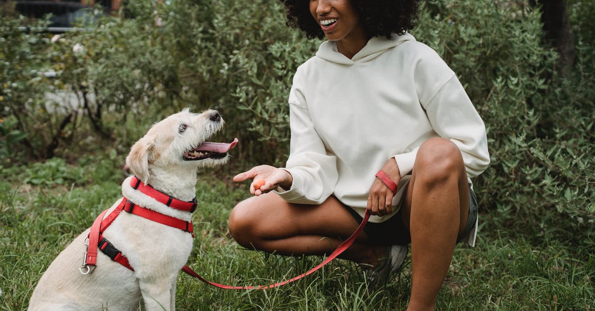 Women's Blood Siphoned Out to Feed Invading Aliens [closed] - Cheerful crop African American female owner giving treat to Labrador Retriever while teaching commands in park