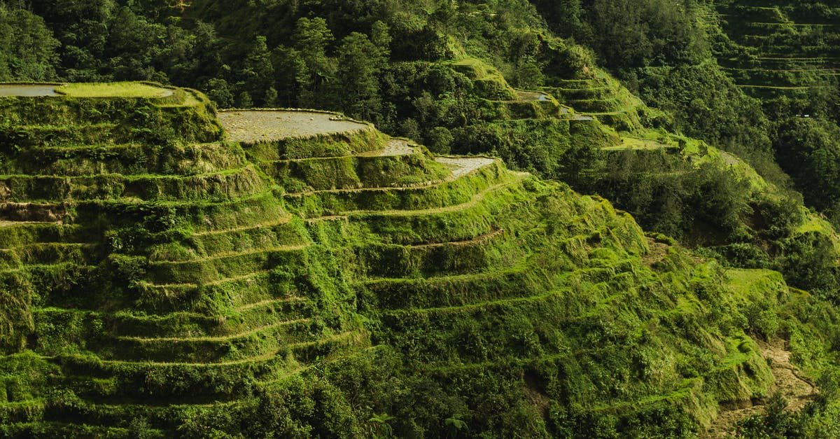 Would the crew have made it back to Earth anyway? - Scenic Photo Of Rice Terraces During Daytime