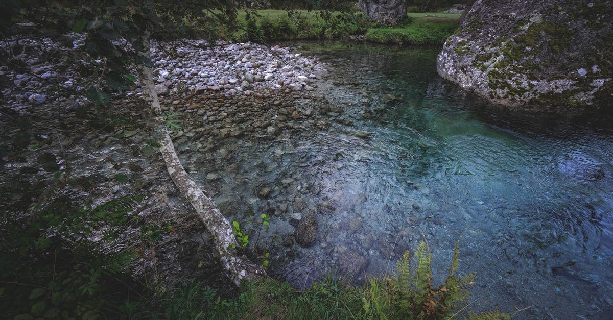 Would the helicopter sacrifice scene from London Has Fallen actually happen? - From above of pond with transparent water and stones against meadow with trees in summer woods